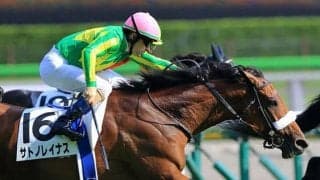 【先週のJRA抹消馬】GI馬ペルシアンナイト、昨年桜花賞2着のサトノレイナス、2020年京阪杯3着のジョーアラビカなど