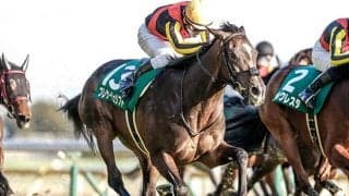 成功例多数のニックス 将来性感じる大器のハービンジャー産駒