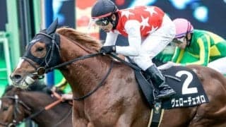 【ダイヤモンドS展望】長丁場のハンデGIII、あの馬の重賞制覇を期待したい