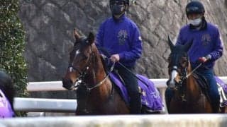 ドウデュースなど、先週の入厩情報/栗東トレセンニュース