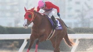 【名古屋・スプリングC結果】アップテンペストが逃げ切って重賞連勝
