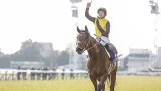 【フェブラリーS予想オッズ】昨年覇者カフェファラオが予想1番人気