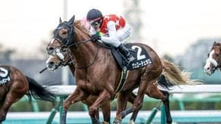 【ダイヤモンドS予想オッズ】ヴェローチェオロが予想1番人気