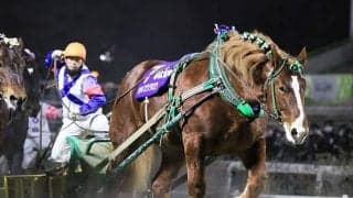 相次いだ有力馬の引退、そして死亡… 世代交代進んだ今シーズンのばんえい競馬