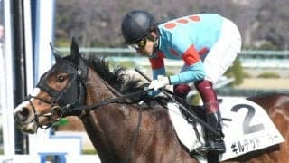 【京都牝馬S予想オッズ】ギルデッドミラーが予想1番人気