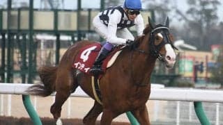 加齢の影響が気になるも... AIが高評価したフェブラリーSの伏兵は？