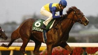 【フェブラリーS】昨年2着の古豪が今年も激走なるか？ 馬券的妙味十分の良血馬