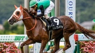 【京都牝馬S展望】春の大舞台に繋がる牝馬重賞、あの穴馬に注目