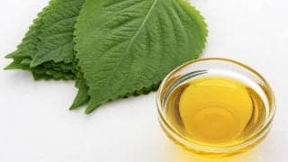 悪玉コレステロール・中性脂肪・血圧などの低下作用を期待！えごま油の魅力