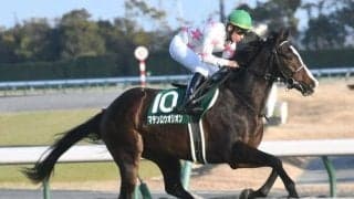 【次走】シンザン記念覇者マテンロウオリオンはニュージーランドTからNHKマイルCを予定