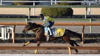 クリンチャー、名古屋大賞典3週前追い切り速報/栗東トレセンニュース