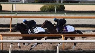 ダノンザキッド、中山記念1週前追い切り速報/栗東トレセンニュース