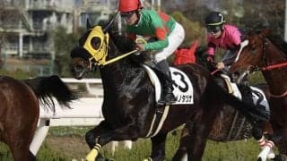 YouTuberヒカルの所有馬が初勝利！ デビュー2戦目、地元・姫路で快哉