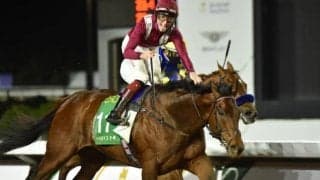 【サウジカップ想定】6か国から14頭が出走　11頭がG1馬の豪華メンバー