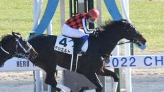 【次走】2億5000万馬デシエルトは若葉Sで芝初挑戦