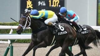 【京都牝馬S「見逃せない調教師」ベスト3】阪神芝1400mで複勝率46.2％、複勝回収率は250％ 穴を狙うならこの調教師！