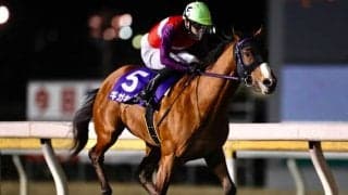 【船橋・報知グランプリC結果】ギガキングが危なげなく押し切り重賞4勝目