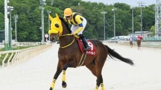バーナードループが競走馬登録抹消