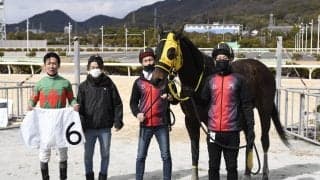 【姫路6R】人気YouTuber ヒカル氏所有 ヒメノタヅナが初勝利