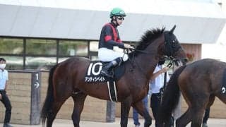 【ダイヤモンドS「見逃せない調教師」ベスト3】芝2500m以上で単勝回収率が167％ 長距離で穴を狙うならこの人！