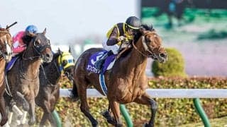 【フェブラリーS展望】好走条件に合うあの馬の巻き返しを期待したい