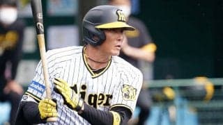 阪神糸井は「30発は打てる」　藤井打撃コーチが“不惑の大砲”と重ねる「伸びしろ」