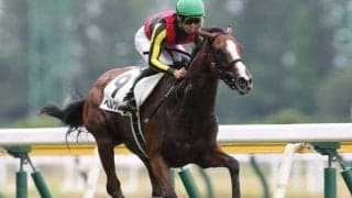 【次走】ベルクレスタは桜花賞を目標に　除外の場合は忘れな草賞へ