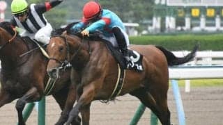 【小倉大賞典出走馬・騎手確定】アリーヴォ＆横山和生騎手、ダブルシャープ＆酒井学騎手など16頭