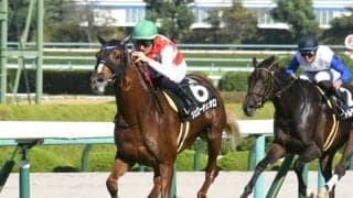 【ダイヤモンドS出走馬・騎手確定】ヴェローチェオロ＆戸崎圭太騎手、レクセランス＆横山武史騎手など14頭