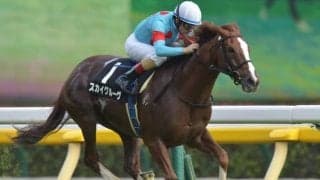 【京都牝馬S出走馬・騎手確定】ギルデッドミラー＆福永祐一騎手、スカイグルーヴ＆ルメール騎手など18頭