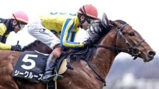 【次走】春菜賞Vのシークルーズは三浦騎手でチューリップ賞へ