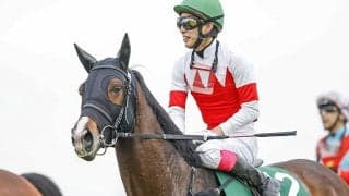 【JRA新馬戦】スワーヴアラミスの半妹ローラスノビリスなどがデビュー