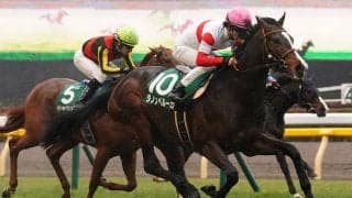 【共同通信杯】ダノンベルーガがデビュー2連勝