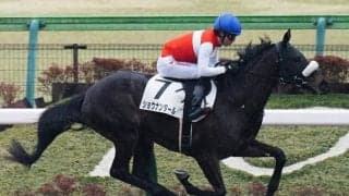 【新馬/東京4R】ドゥラメンテ産駒 ショウナンダールが6馬身差圧勝