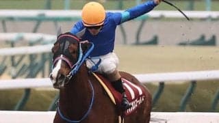 【京都記念】国分恭「恩返ししたいなという思い」アフリカンゴールドが重賞初制覇