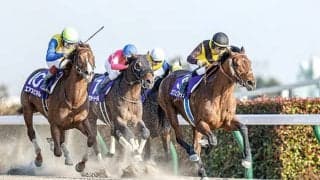 【フェブラリーS 調教後馬体重】カフェファラオは523kg、レッドルゼルは502kg