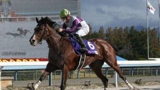 豪華メンバー集結も激戦必至のフェブラリーＳ。トップジョッキーが乗る人気薄で一発狙い