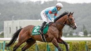 【小倉大賞典枠順確定】アリーヴォは大外8枠16番、ヴァイスメテオールは4枠8番