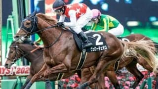 【ダイヤモンドS枠順確定】ヴェローチェオロは5枠7番、レクセランスは6枠10番