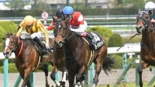 【京都牝馬S枠順確定】ギルデッドミラーは6枠11番、ロータスランドは4枠7番