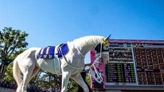 【フェブラリーS 最新予想オッズ】昨年覇者カフェファラオが予想1番人気　レッドルゼル、ソダシが続く