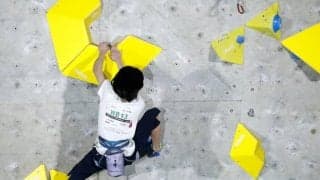 リード、ボルダリングのユース日本選手権開催日程が発表