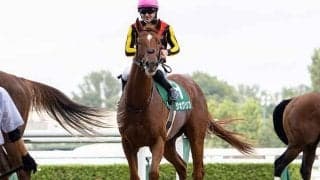 共同通信杯2着のジオグリフは放牧へ　次戦は皐月賞を予定