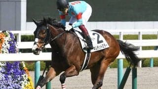 【京都牝馬S予想】距離変更で傾向が一変！ 前走の「人気」と「コース」が命運を分ける