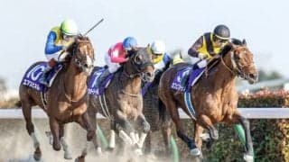 【フェブラリーS予想】コースの特徴から見る　注目穴馬3頭と人気でも押さえるべき馬3頭