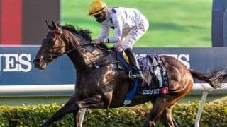 「16連勝」でストップのゴールデンシックスティ　20日のG1香港ゴールドカップで巻き返しを狙う