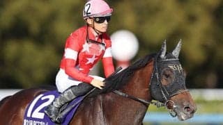 【フェブラリーS】レッドルゼル安田隆師「去年より一皮むけた感じ」/ねぇさんのトレセン密着