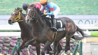 【ダイヤモンドS予想】ステイヤーズSとはやや性質が異なる長距離ハンデ重賞