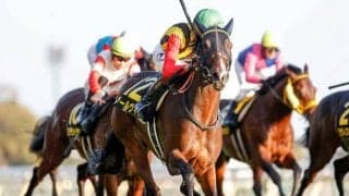 【京都牝馬S予想】ヴィクトリアマイルを見据えた古馬牝馬が集結する短距離重賞