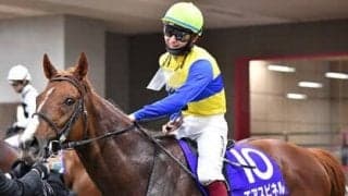 フェブラリーＳは本命不在の大混戦。年齢不安ない９歳馬が得意舞台で大激走の気配